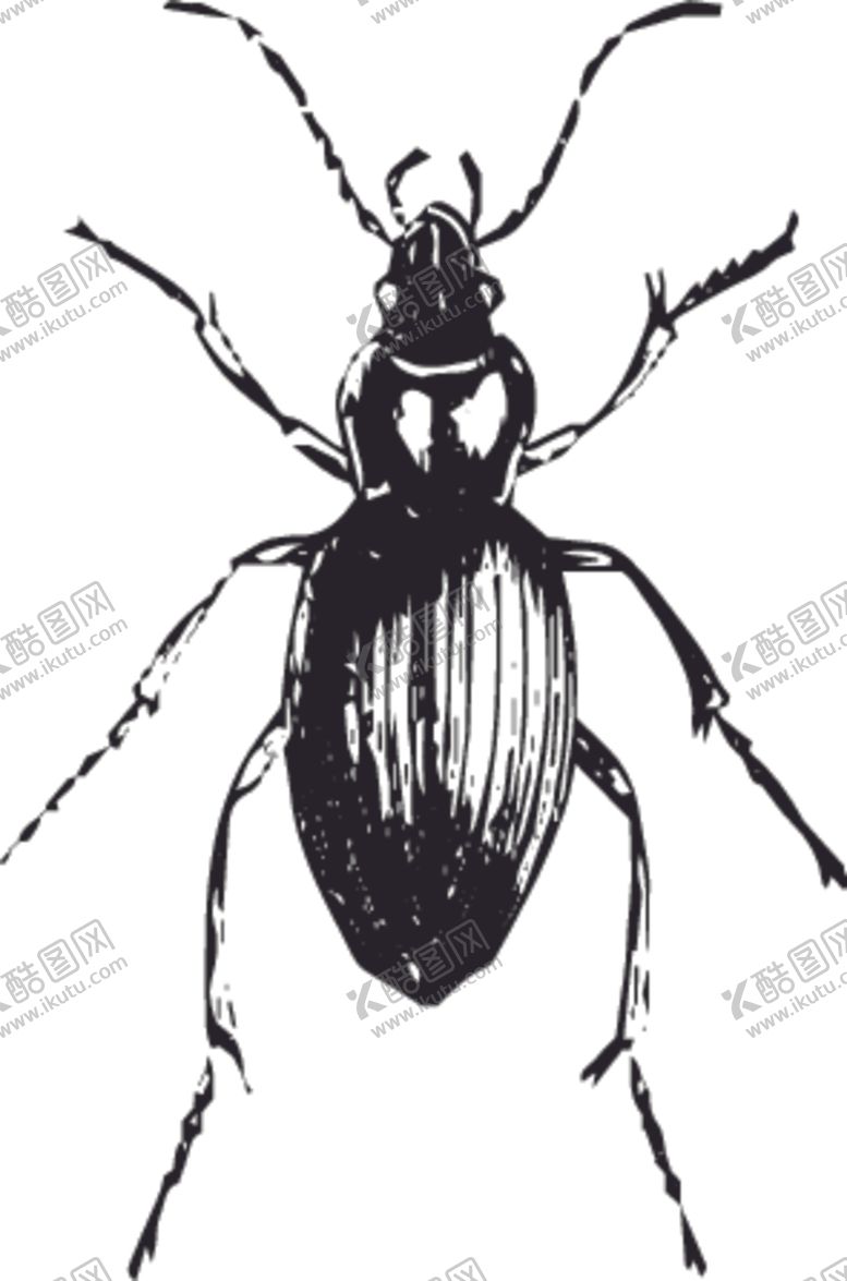 编号：28850707032010508988【酷图网】源文件下载-自然昆虫蝴蝶标本插画