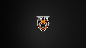 Tiger战队