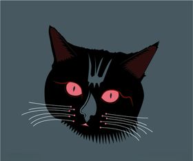 黑猫