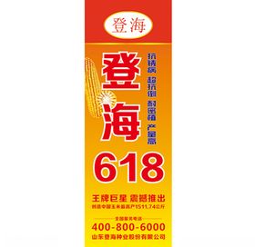 登海618玉米