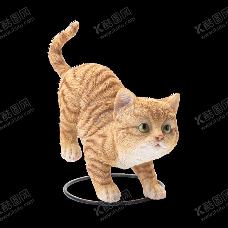 编号：56903110241355223657【酷图网】源文件下载-小猫