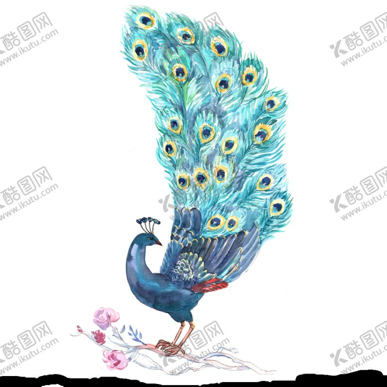 编号：74516210080052513506【酷图网】源文件下载-孔雀