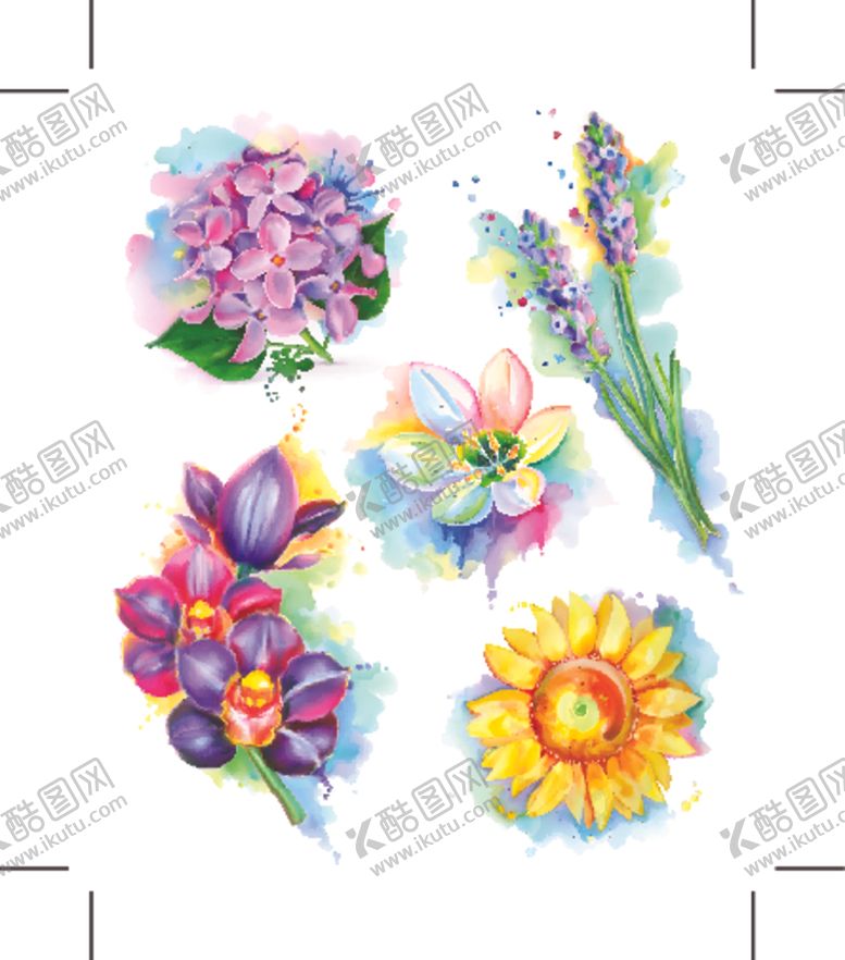 编号：96193905062227478357【酷图网】源文件下载-绿植花卉