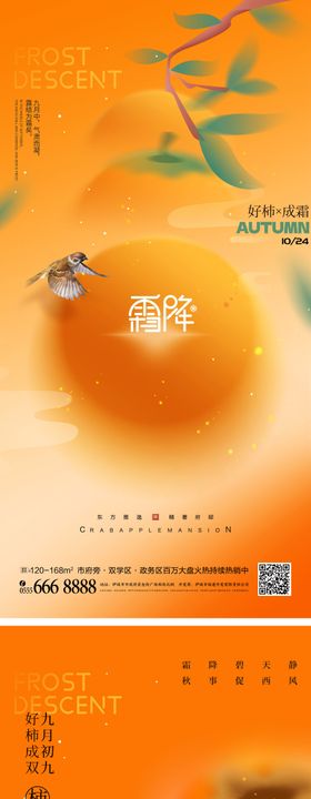 商业C4D霜降节气海报