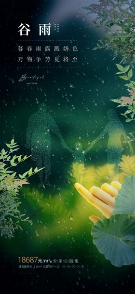 梦幻森林中的神秘光影