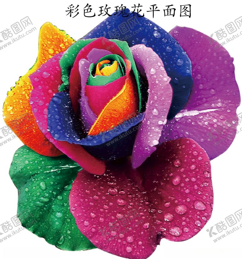 编号：90857410211652284060【酷图网】源文件下载-玫瑰花朵图片