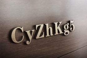 立体字木纹样机