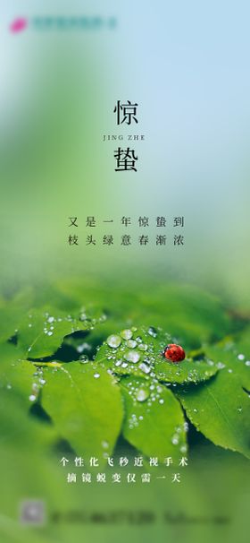 惊蛰海报版式简约二十四节气