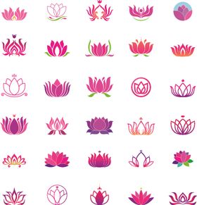 粉色莲花图案
