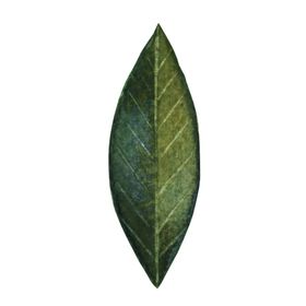 北欧手绘插画