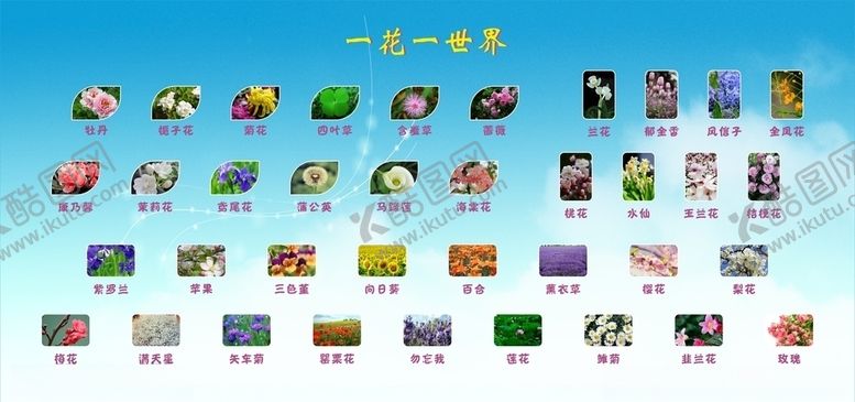 编号：13567409231852428743【酷图网】源文件下载-一花一世界