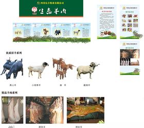 产品介绍