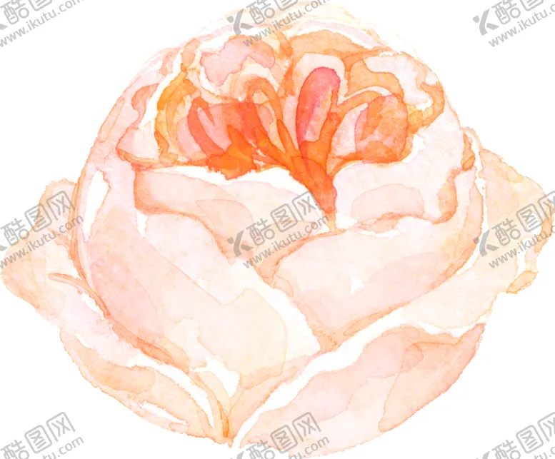编号：74579906261255051031【酷图网】源文件下载-水彩手绘花卉花朵植物