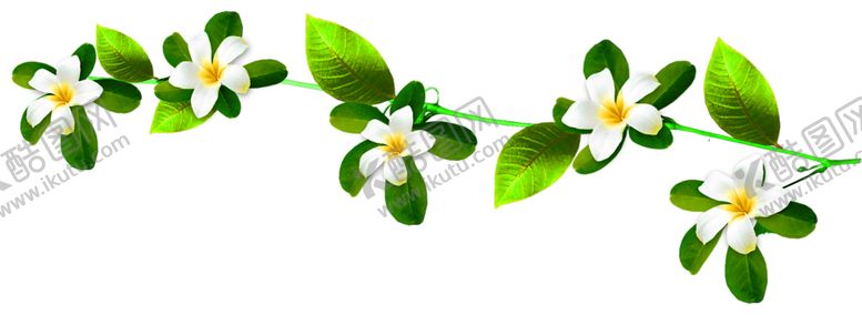 编号：98543110211029069914【酷图网】源文件下载-鲜花装饰