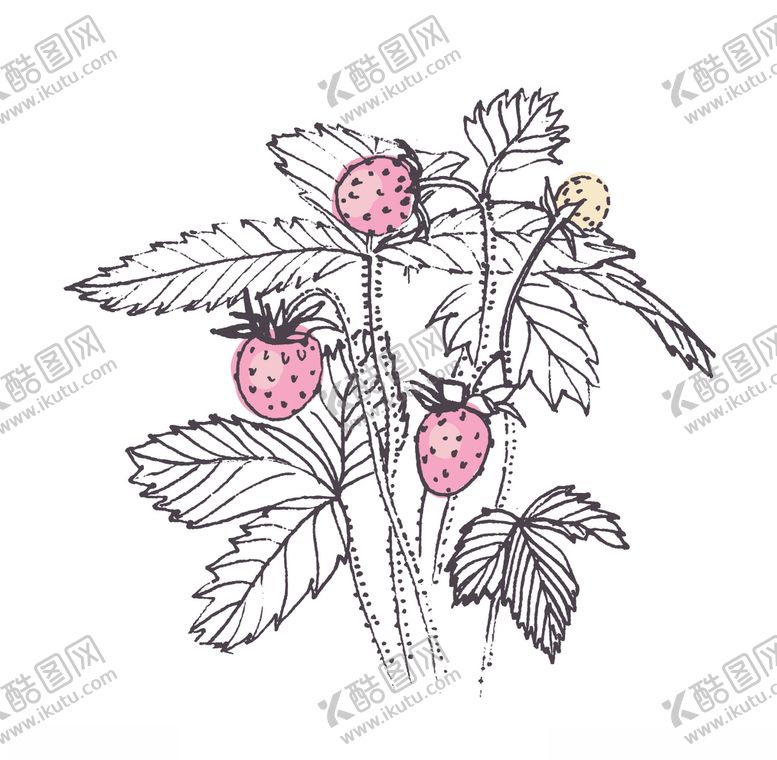 编号：76106407021901158932【酷图网】源文件下载-植物