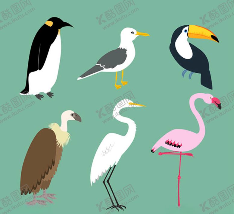 编号：69041210082204475325【酷图网】源文件下载-创意鸟类设计矢量素材