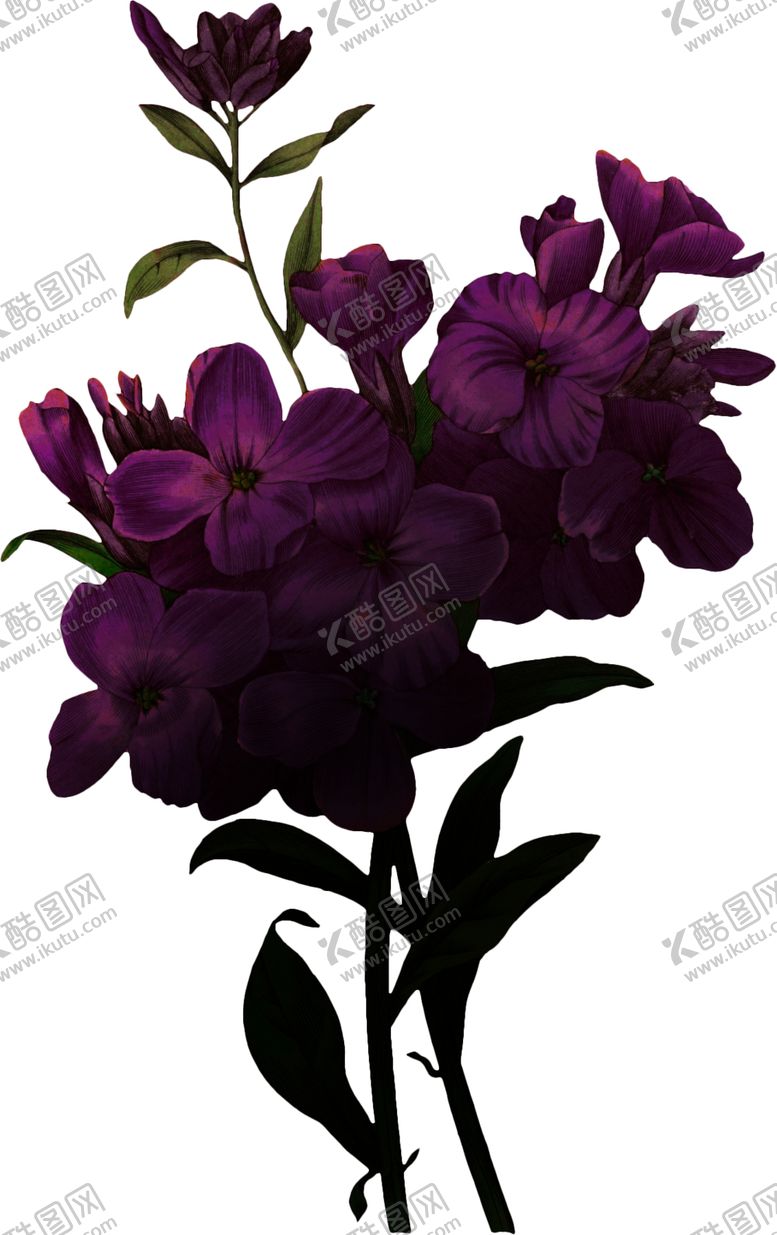 编号：74104710111943377252【酷图网】源文件下载-暗黑风植物花朵