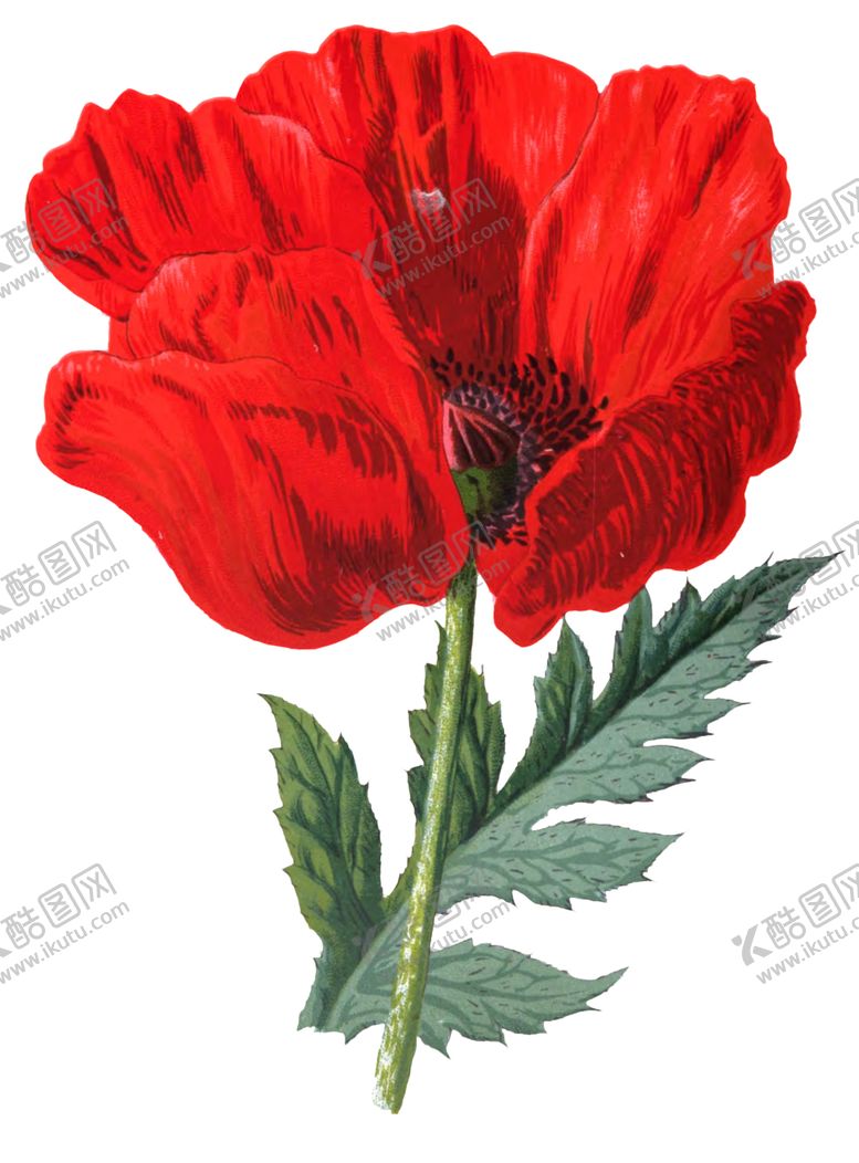 编号：81853810181602447918【酷图网】源文件下载-复古花朵植物图案