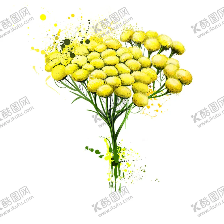 编号：35573306281154279623【酷图网】源文件下载-鲜花素材