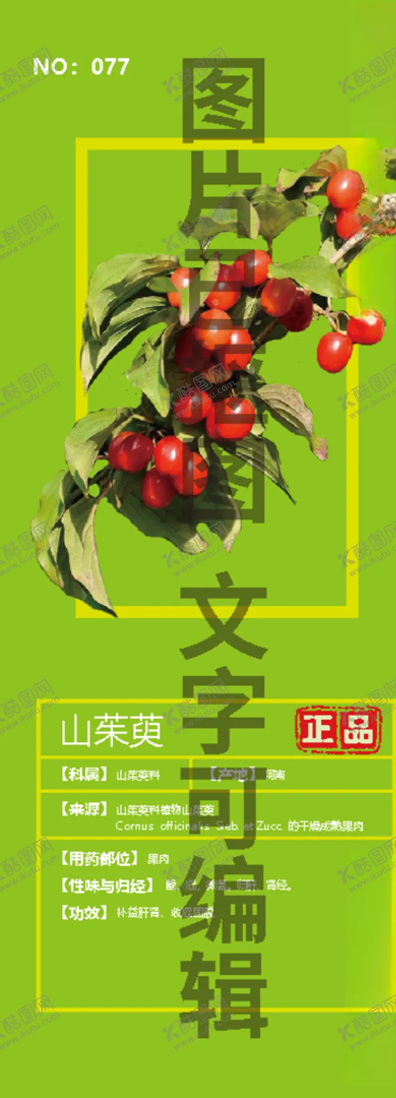 编号：37258404202006122985【酷图网】源文件下载-山茱萸