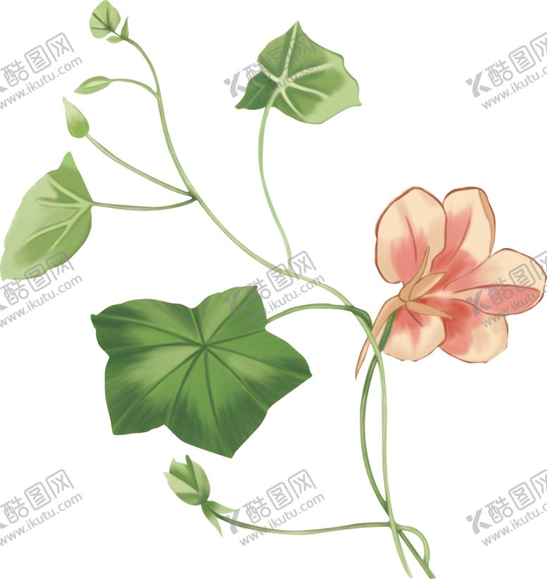 编号：40795705102253527328【酷图网】源文件下载-绿色手绘花