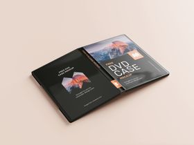 dvd光盘样机