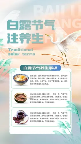 白露水墨画插画地产稿高端节气稿