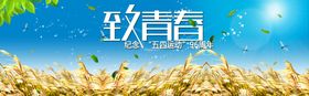 致青春
