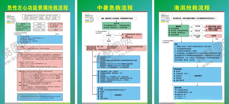 编号：62366304210817063427【酷图网】源文件下载-急性心功能衰竭中暑淹溺抢救流
