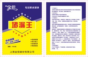 堵漏王