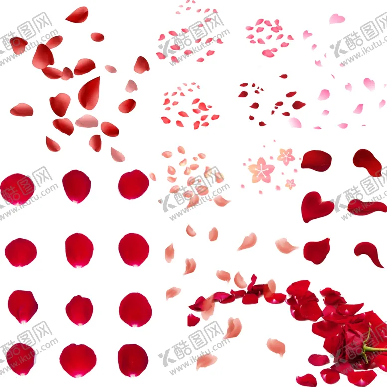 编号：61345004300209508576【酷图网】源文件下载-玫瑰花瓣