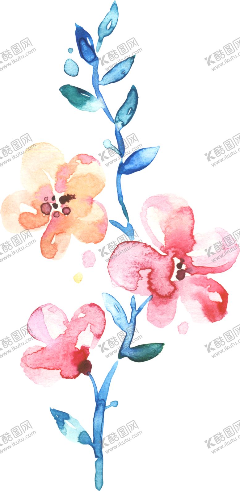 编号：28227305130204091895【酷图网】源文件下载-水彩手绘花卉花朵植物