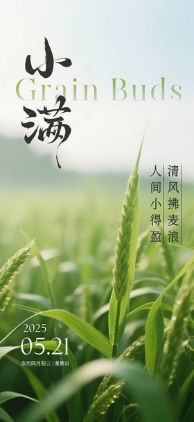 小满节气海报