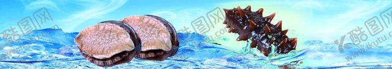 编号：95841609092142399361【酷图网】源文件下载-海参鲍鱼