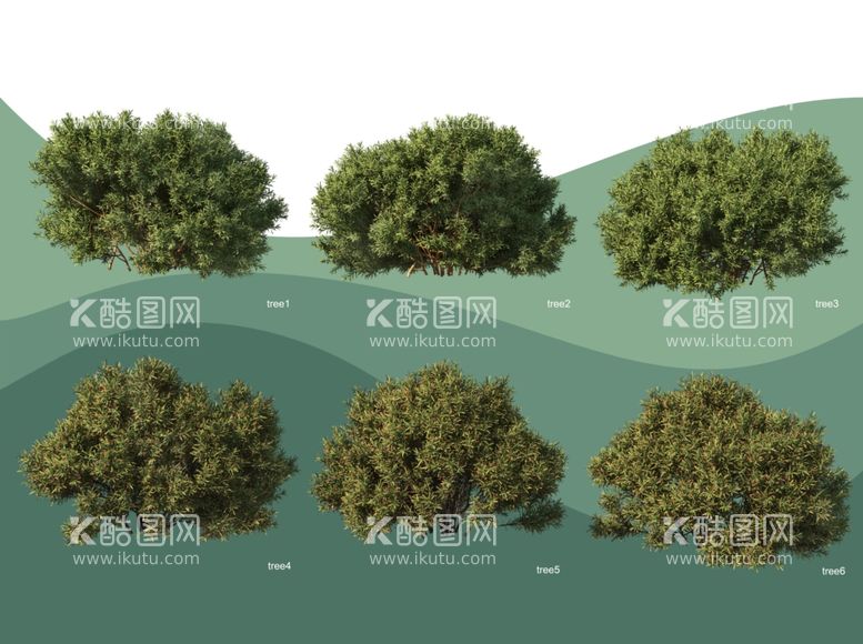 编号：39935811270325027204【酷图网】源文件下载-园林景观树