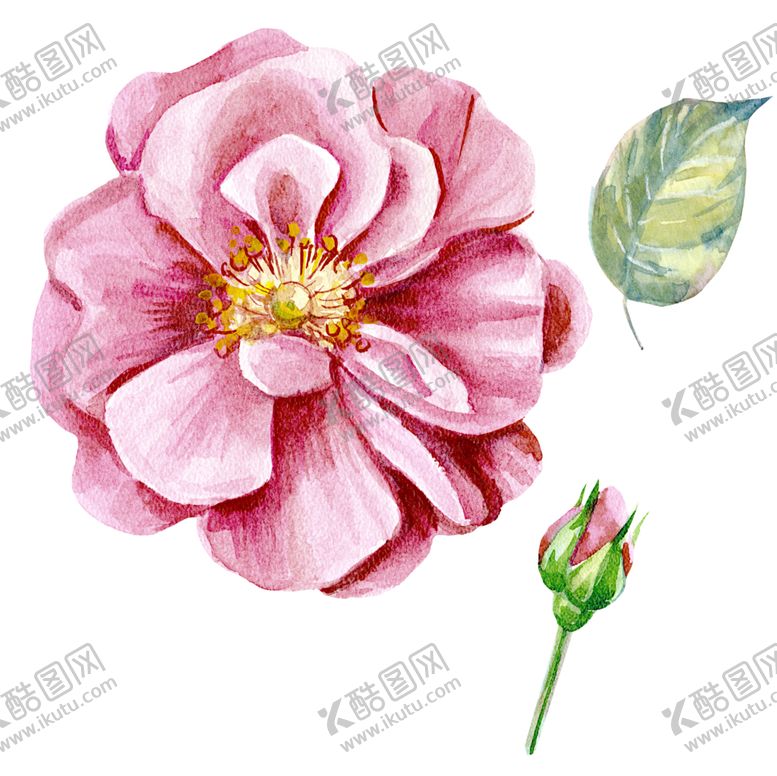 编号：85373705151405359502【酷图网】源文件下载-手绘花