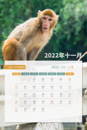 虎年台历效果图日样式设计