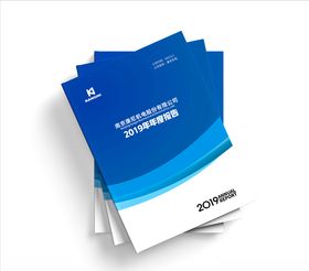 年度报告封面