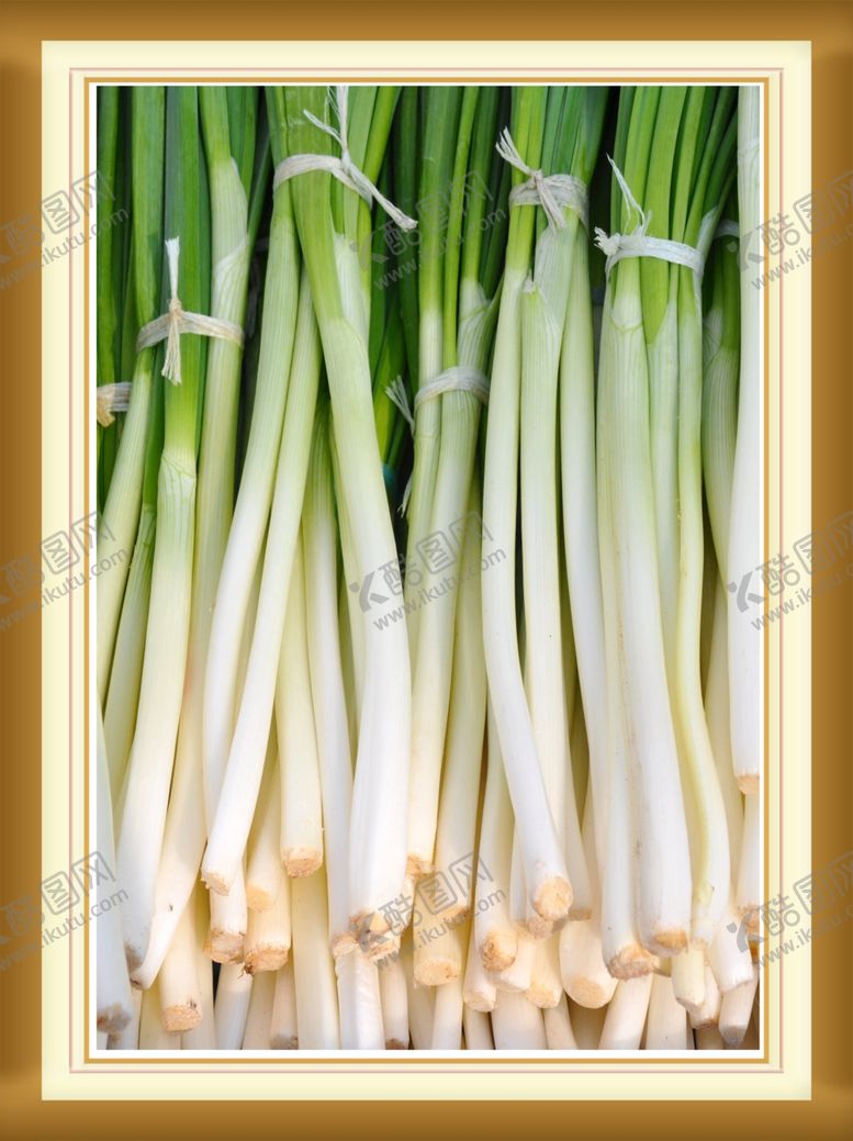 编号：32718509132013263215【酷图网】源文件下载-艺术画