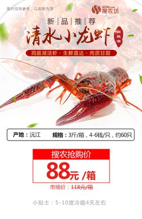 小龙虾图