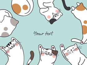 可爱猫咪图片