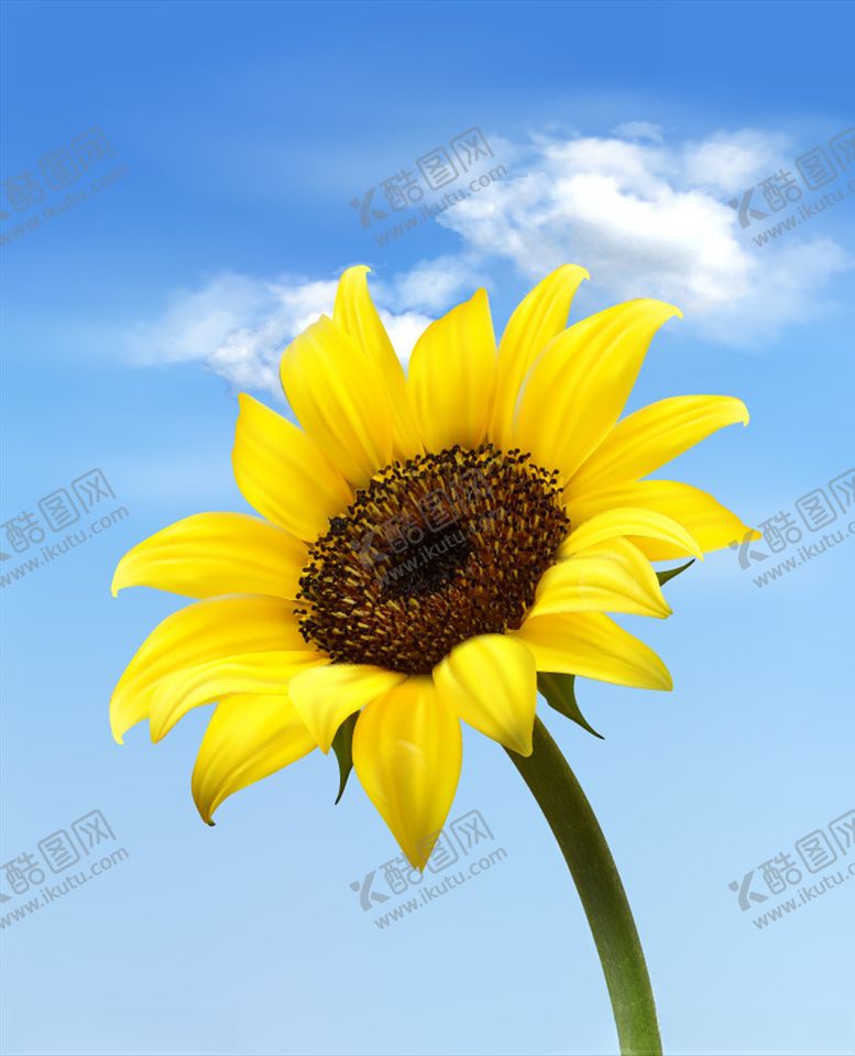 编号：55052109091422504657【酷图网】源文件下载-向日葵
