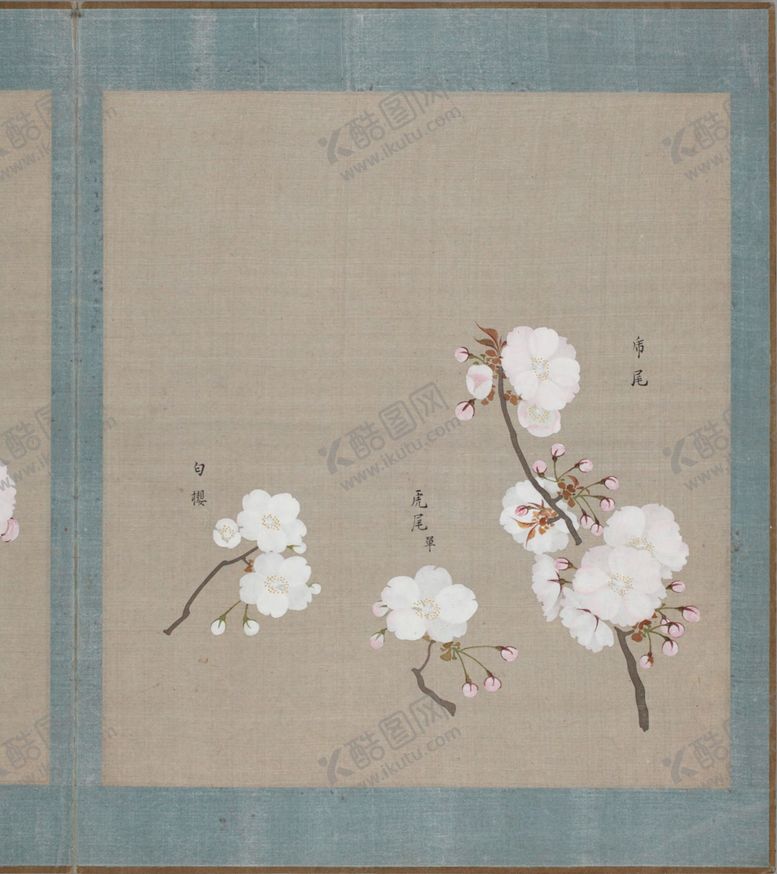 编号：69260606271928517977【酷图网】源文件下载-樱花