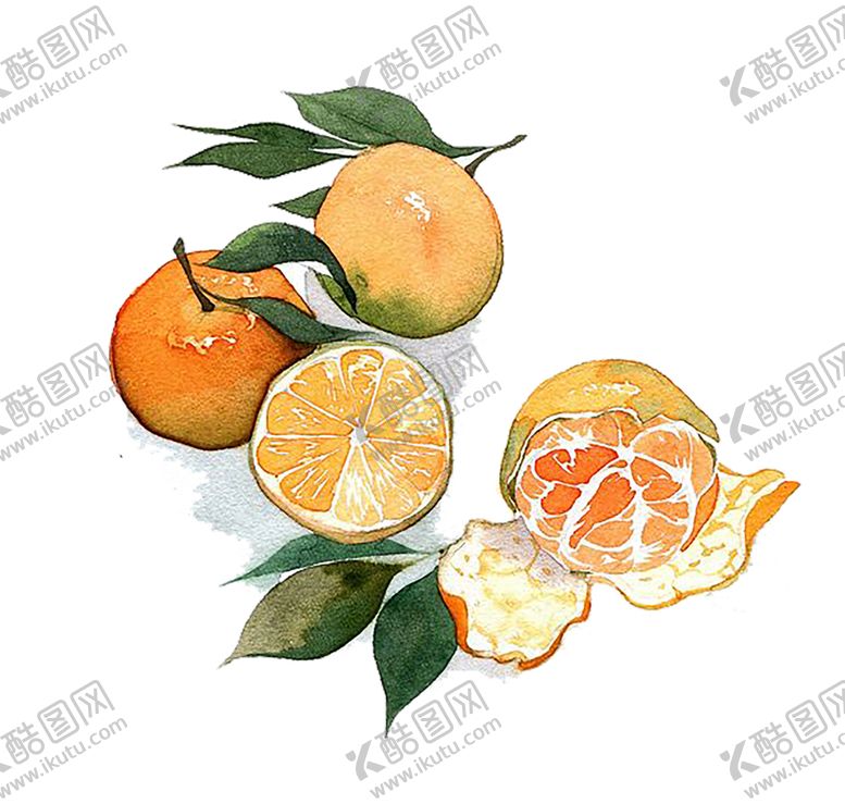 编号：56765307040737503547【酷图网】源文件下载-水果