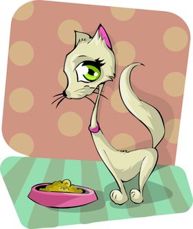 可爱的小猫