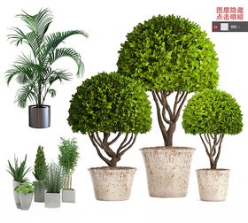 盆栽植物摆件