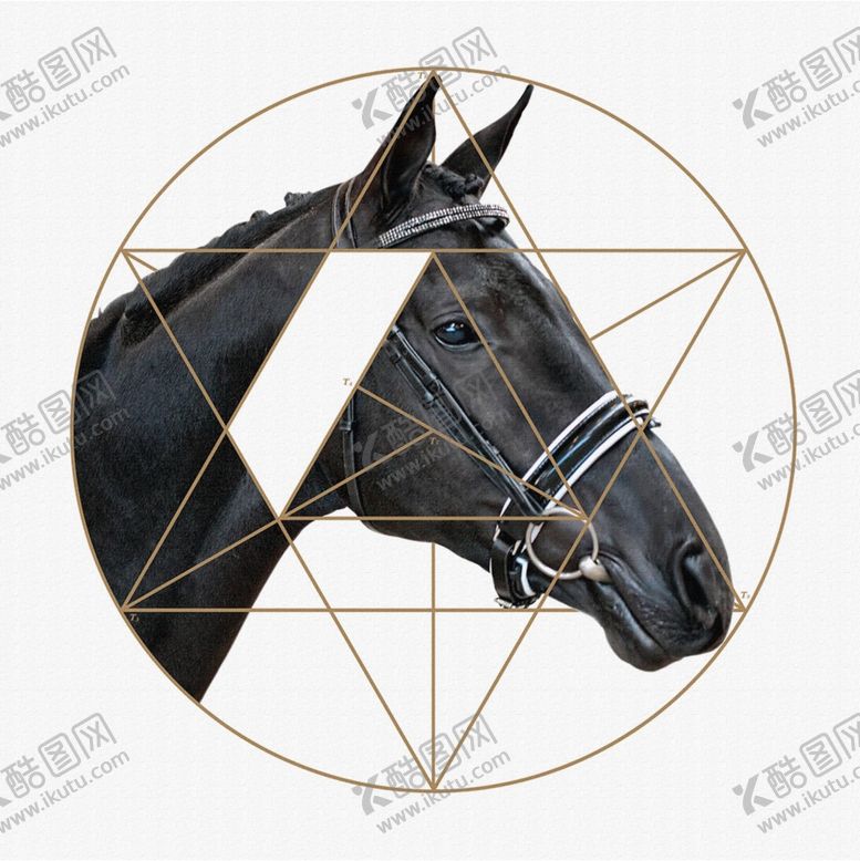 编号：31005809220255538278【酷图网】源文件下载-中国风装饰画