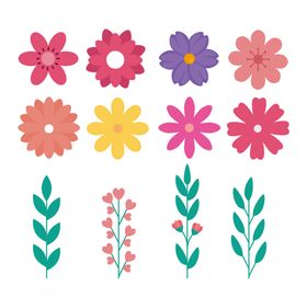 色彩明快的室内植物与花卉插画组