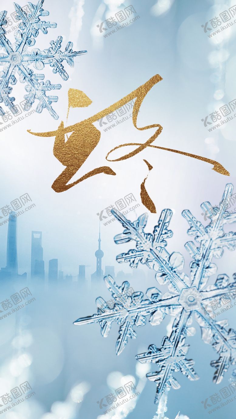 编号：70528210041941378189【酷图网】源文件下载-雪花