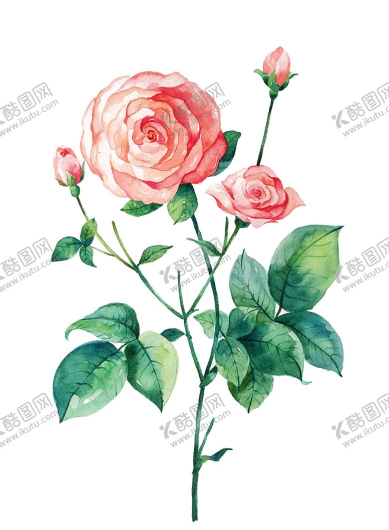 编号：12838505010004231342【酷图网】源文件下载-手绘花